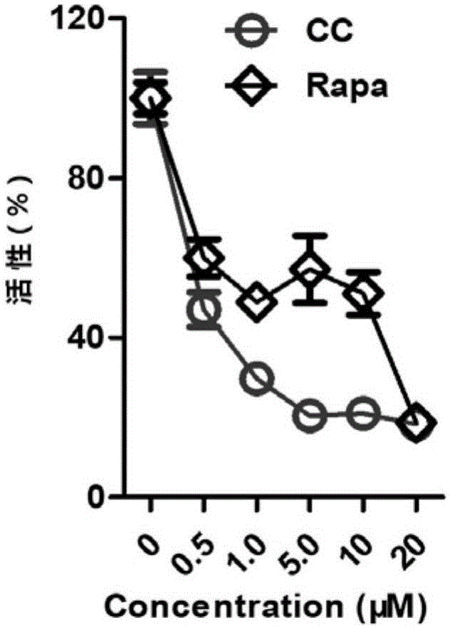 【九游娱乐】印桑杯: 比分2 : 2马哈拉施特拉邦 VS 卡纳塔克邦全场进球数战平(图1) 九游娱乐